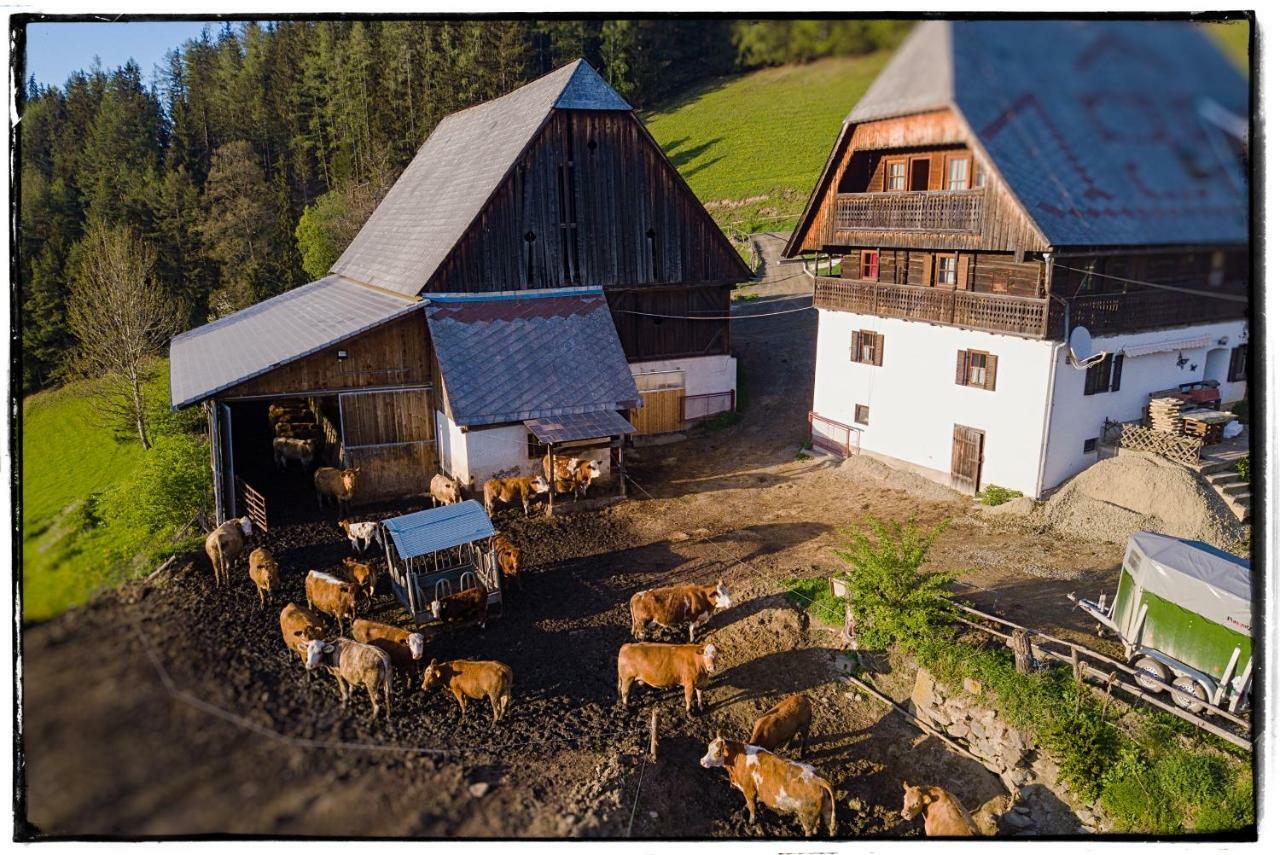 Apartamento Bio-Peisingerhof Sankt Stefan ob Leoben Exterior foto